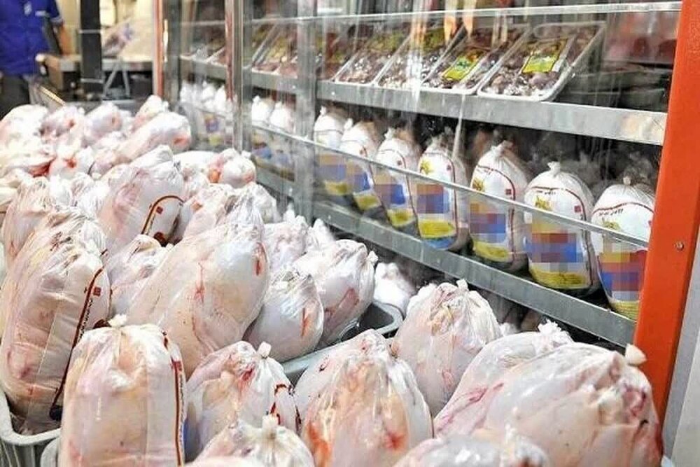 مرغ های مازاد گیلان برای شب عید ذخیره سازی می شود
