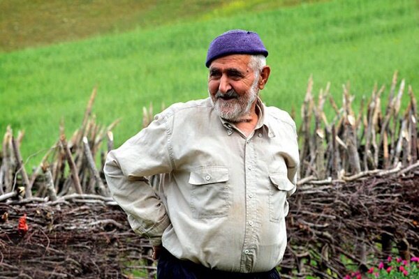 5000 خانوار؛ مستمری بگیر صندوق بیمه اجتماعی روستاییان گیلان