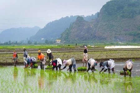 15 اثر ناملموس گیلان در فهرست آثار ملی ثبت شد