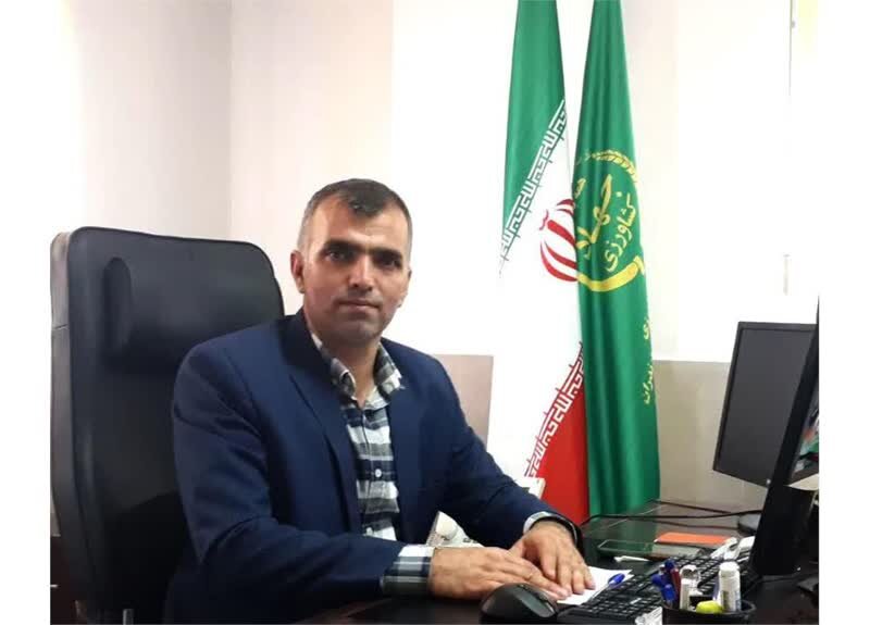 شناسنامه‌دار شدن 200 هکتار از باغ مرکبات بابل