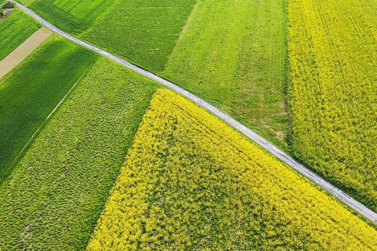 اختصاص 40 هزار میلیارد تومان اعتبار برای اجرای الگوی کشت