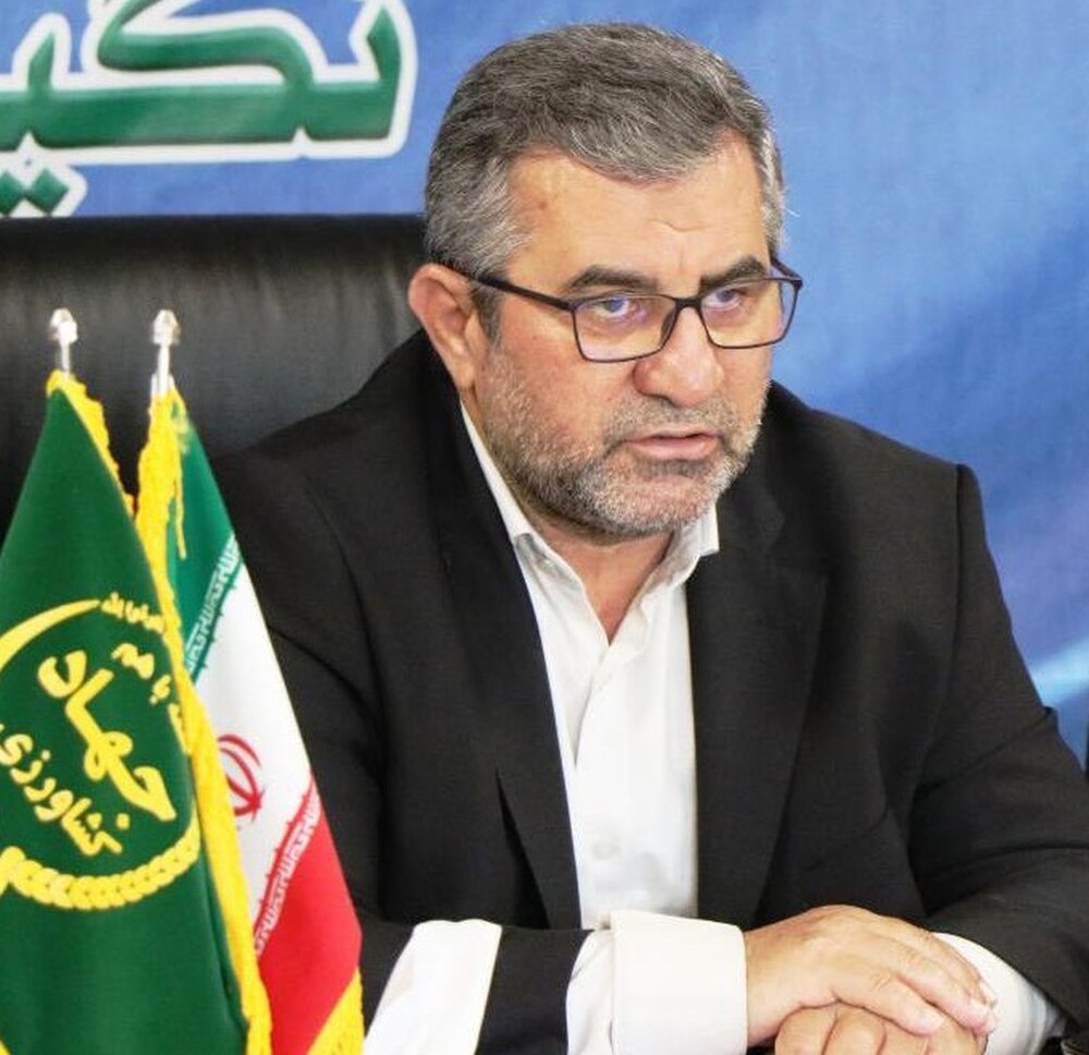 ذخیره 500 هزارتنی مرکبات در مازندران/ مسیر صادرات باید کم هزینه باشد