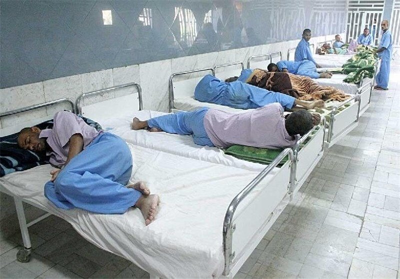تامین امنیت غذایی نیازمند نظام کشاورزی پایدار است/ کشت سالانه 14.5 میلیون هکتاری