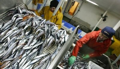اجرای 400 طرح شیلاتی با حمایت ستاد اجرایی فرمان امام در گلستان