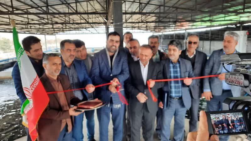 84فرصت جدید سرمایه گذاری درشیلات مازندران