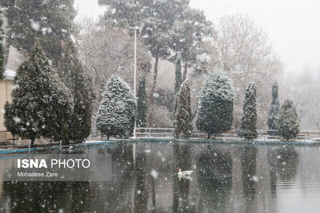 کاهش 12 درجه ای دما در گیلان/ آغاز بارش برف از فردا