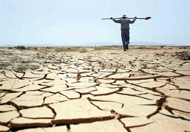 35 هزار هکتار گندمزار در آتش بی‌آبی سوخت/ اندوه سهم کشاورزان گلستانی