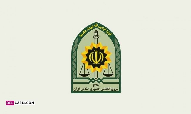 دستگیری سارق مامور نما در ساری