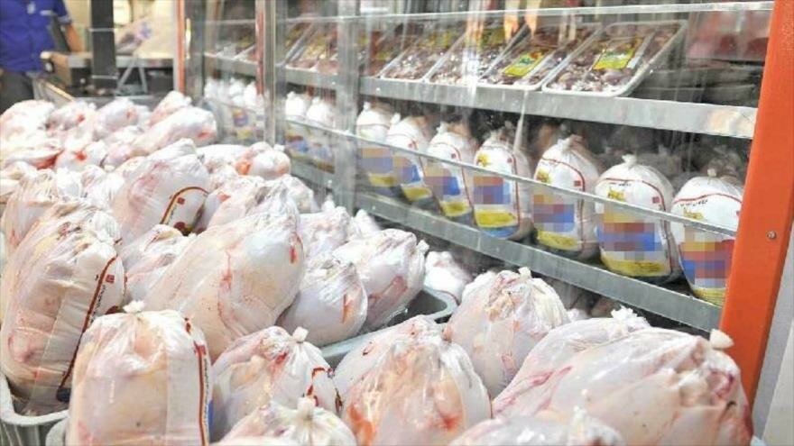 توزیع 454 تن مرغ منجمد در مازندران