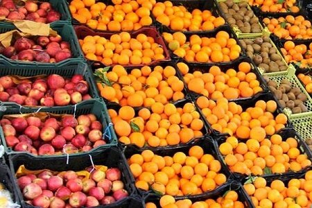 عرضه سیب و پرتقال شب عید در بیش از 35 مرکز توزیع در گیلان