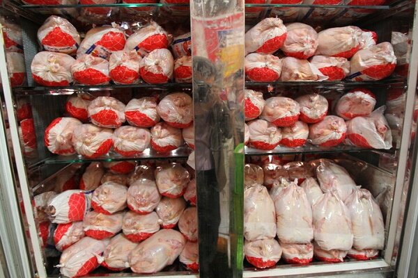 تزریق بالغ بر 900 تن مرغ گرم و منجمد به بازار گیلان