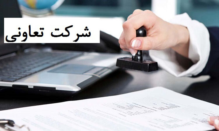 ایجاد شرکت های تعاونی تولید توسط سمن ها/ هیئت های ورزشی توانمندسازی اقتصادی می شوند