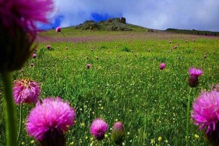افزایش 5 تا 10 درجه ای دمای گیلان/ وزش باد گرم تا شنبه