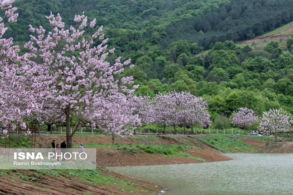 آبگیر رویایی توشَن گرگان