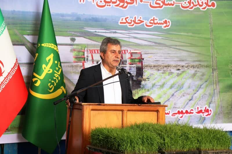 کاهش مصرف کود اوره در شالیکاری/مشکلات کشاورزان با درایت رهبری حل شد