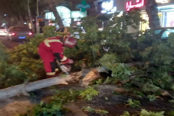 اعزام تیم آتش نشانان به بیش از 12 حادثه سقوط درخت و حریق در رشت