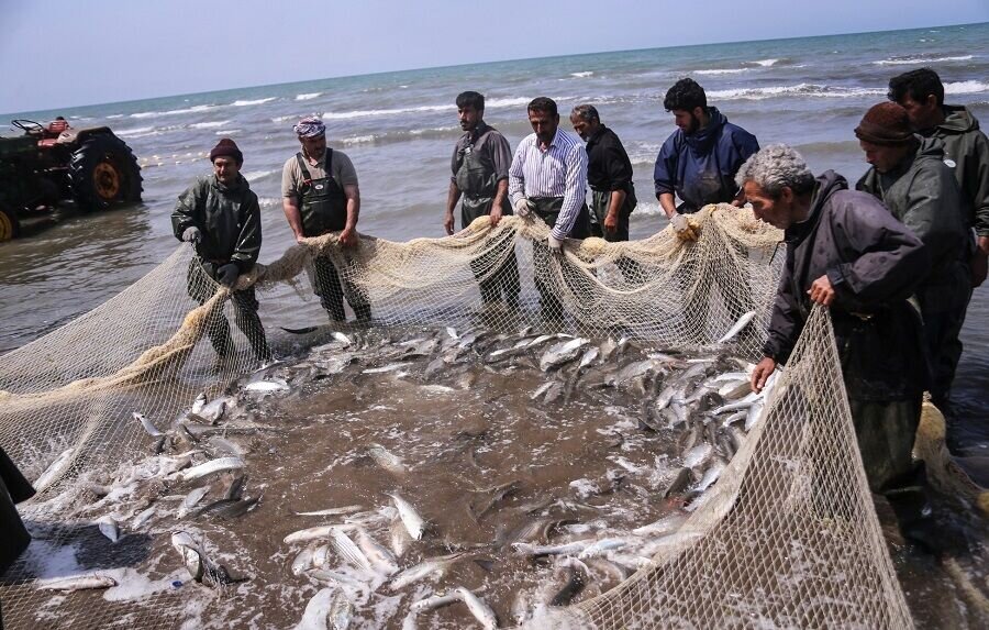 جذب 194 میلیارد تومان تسهیلات برای 1530 طرح شیلاتی در مازندران