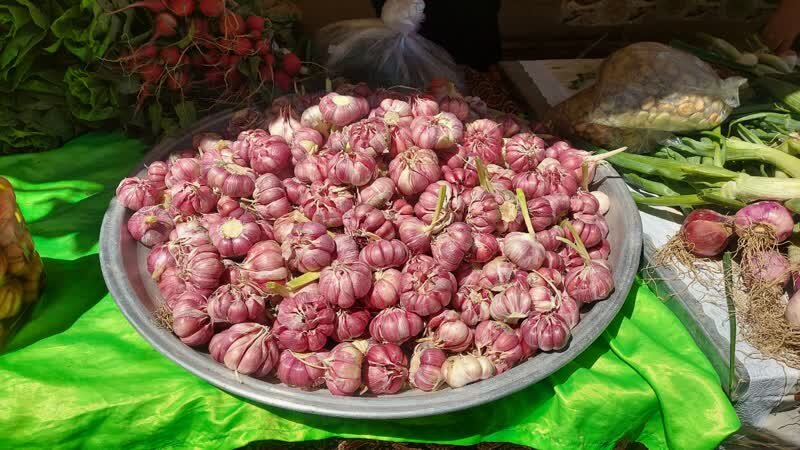 برپایی دو جشنواره با طعم متفاوت در ییلاقات مازندران