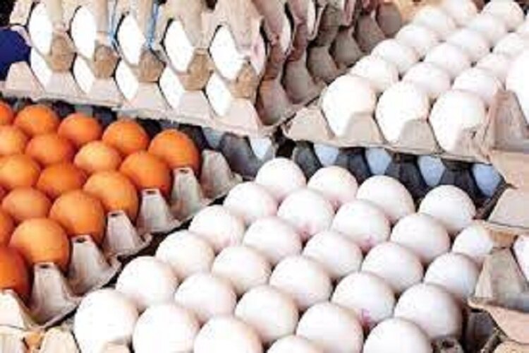 کشف 2600 کیلو تخم‌مرغ‌های فاقد مجوز در قائمشهر