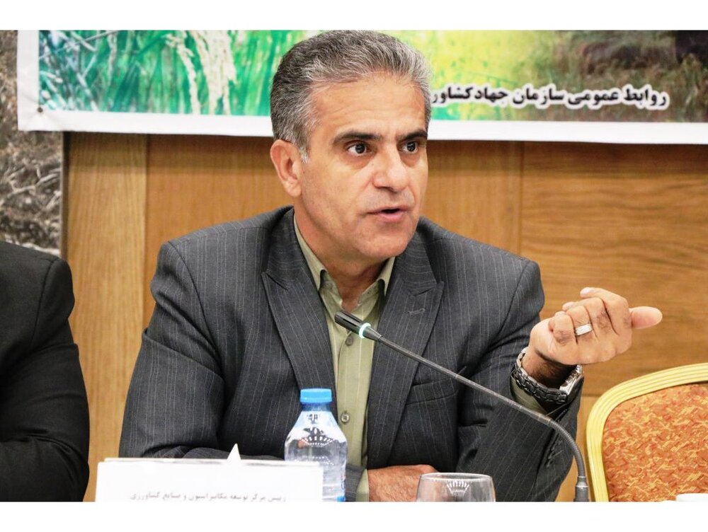 برداشت مکانیزه برنج در 424 هزار هکتار شالیزار کشور