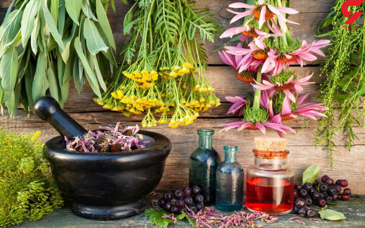 شناسایی بیش از 300 گونه گیاه دارویی در مازندران