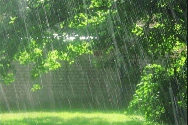 افزایش22 درصدی بارش‌ بهاری امسال نسبت به دوره آماری بلند مدت در مازندران