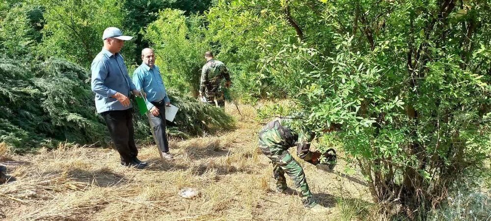 بیش از 11 هزار مترمربع از اراضی ملی در شهرستان گلوگاه و کجور خلع ید شد