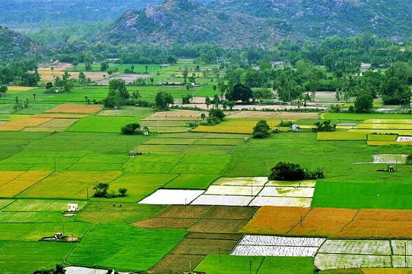 صدور سند مالکیت برای 60 هزار هکتار از اراضی کشاورزی گیلان