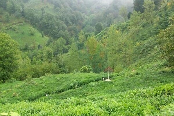 آزادسازی 7000 متر مربع اراضی ملی در لاهیجان