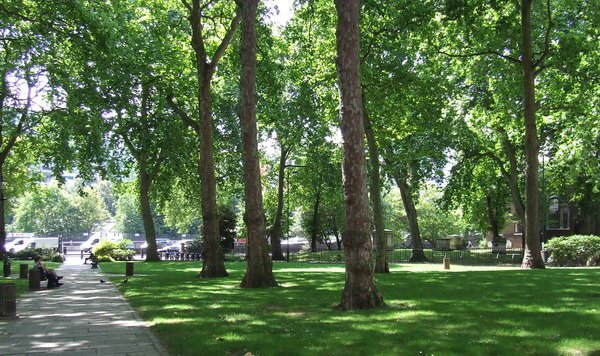 طرح مدیریت پایدار جنگل‌های هیرکانی در حال تهیه است