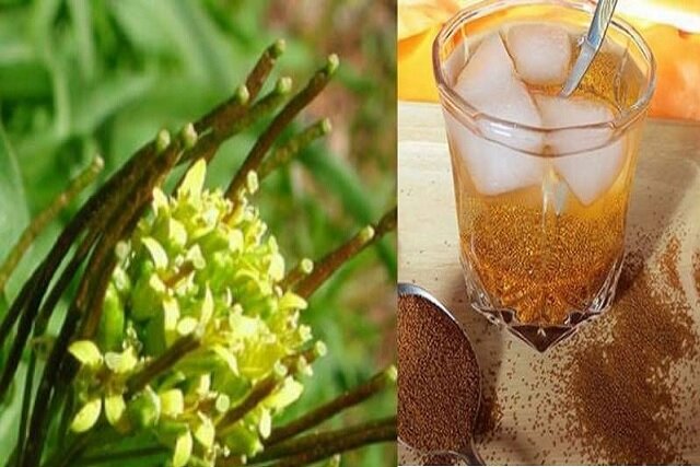 توصیه های طب سنتی برای خنک شدن بدن در تابستان