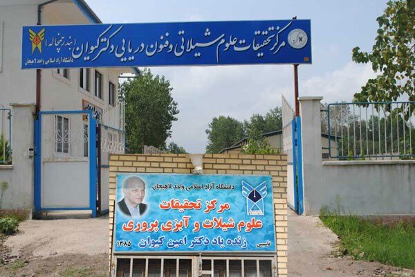 تولید 100 تن گوشت ماهیان خاویاری در 6 سال با اجرای طرح انتقال آب دریا