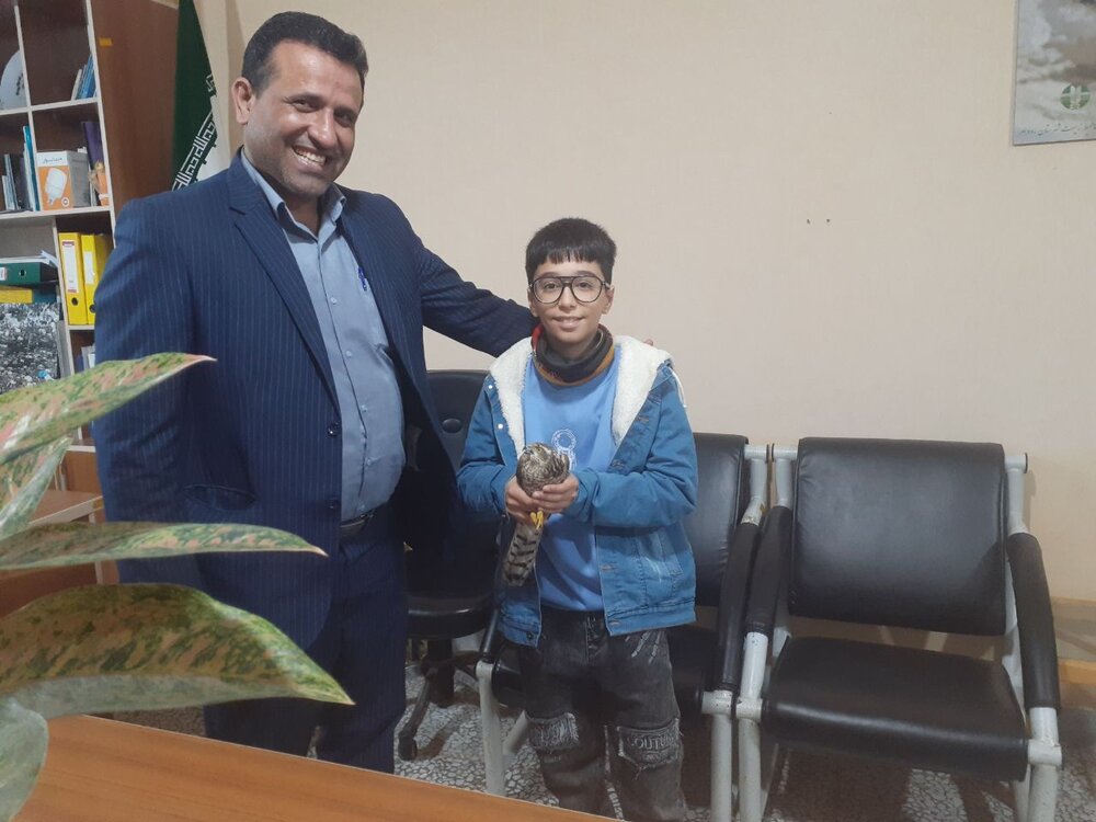 دانش آموز کلاچایی یک بهله پرنده شکاری را نجات داد