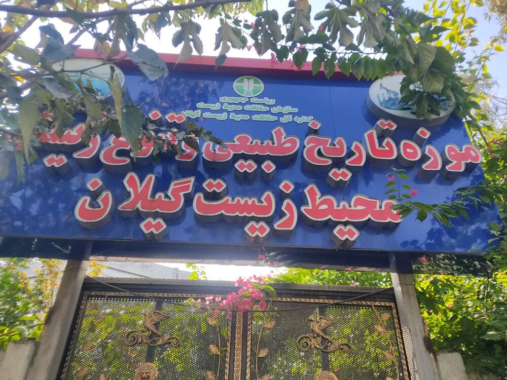 موزه تاریخ طبیعی محیط زیست؛ نمایانگر تنوع اکوسیستمی حیات وحش گیلان