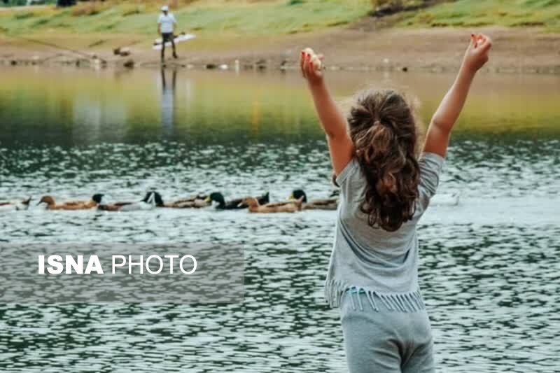 «توشن» یک پیشنهاد رویایی برای گذران یک جمعه پائیزی