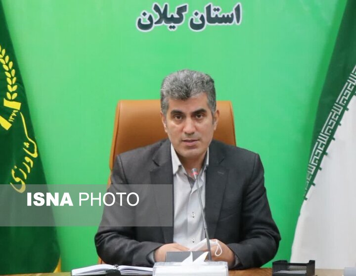 فعالان زنجیره تولید و توزیع مرغ، منطبق با سامانه ستکاوا عمل کنند