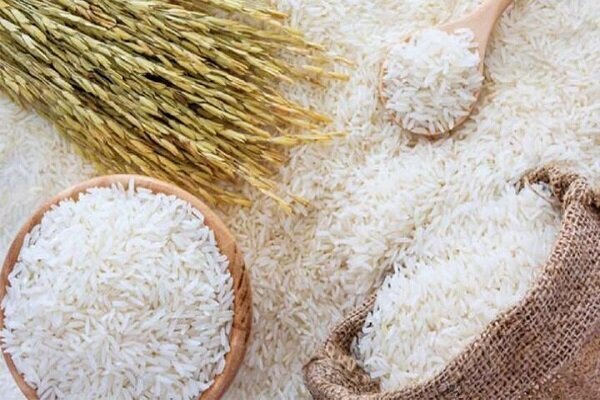 تولید 916 هزار تن برنج سفید در مازندران