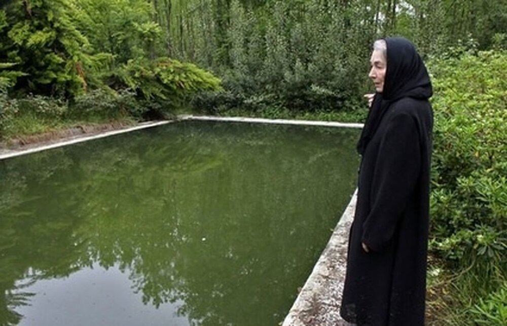 بانوی "گل های داوودی" را به گیلان بسپارید