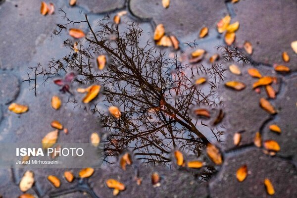 کاهش 5 تا 10 درجه ای دمای گیلان/ در ارتفاعات برف می بارد