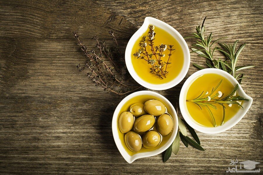 گذری در باغ پرشیا و خاطرات نماینده بخش خصوصی ایران در شورای جهانی زیتون