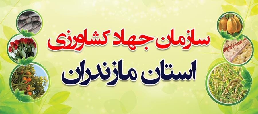 126 شغل جدید در سامانه رصد اشتغال محمودآباد ثبت شد