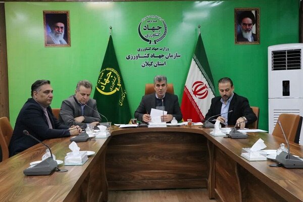بهره‌برداری از 98 درصد ظرفیت واحدهای پرورش مرغ گیلان