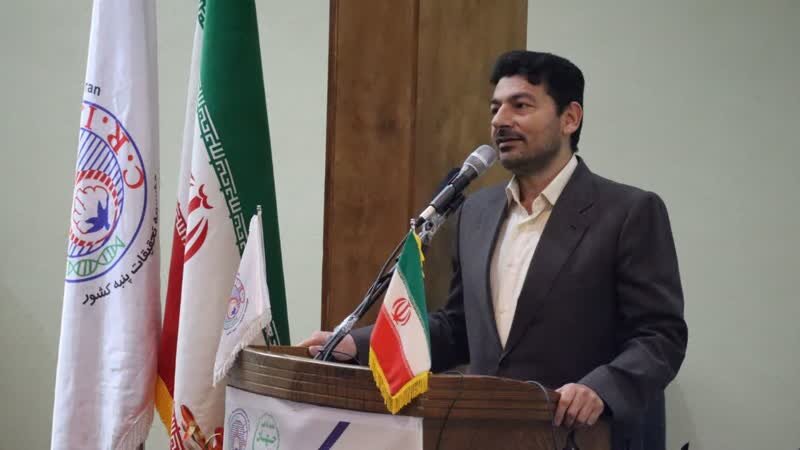 پنبه بهترین جایگزین کشت شالی در گلستان