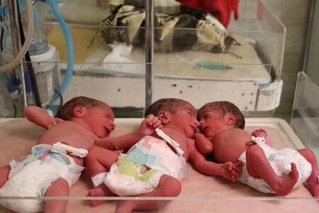 امسال بالغ بر 14500 نوزاد در گیلان متولد شده اند/ املش، پیرترین شهرستان گیلان است