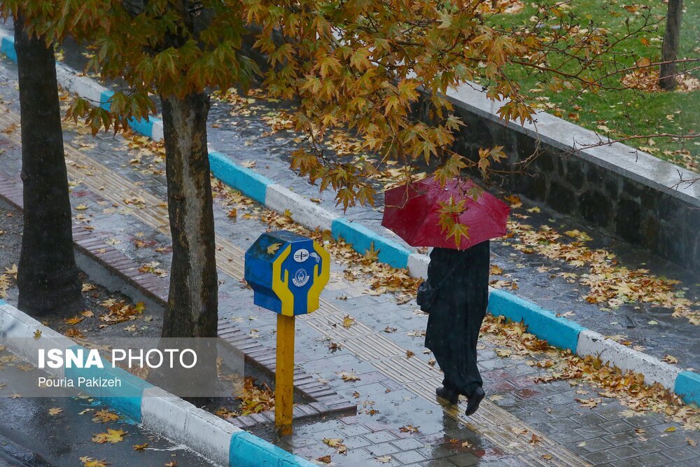 سال خوش زراعی در گلستان/افزایش 56 درصدی بارش‌ها