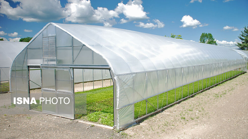 گلستان دارنده رتبه سوم شاخص توسعه گلخانه‌های کشور/ حرکت برای تسخیر بازارهای جهانی