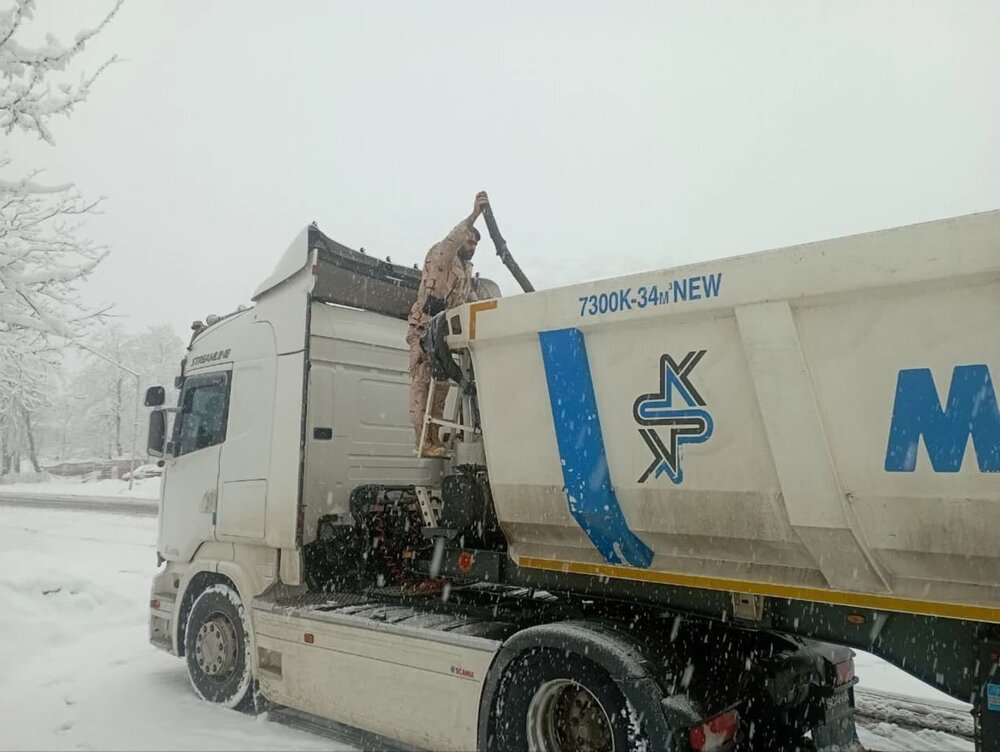 کشف 40 تن چوب جنگلی قاچاق در آستارا