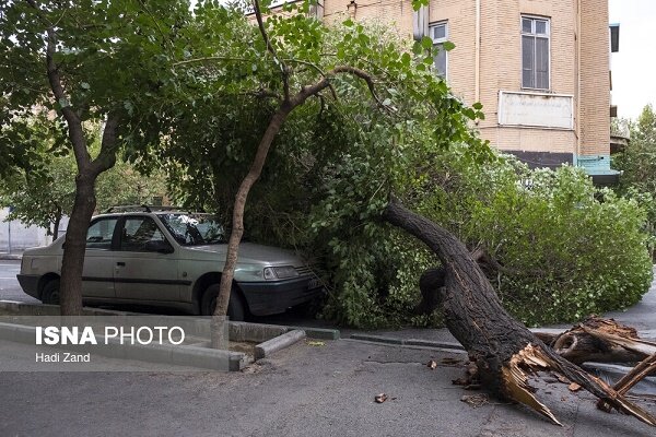 احتمال آتش سوزی در جنگل،خیزش گرد و خاک و وقوع بهمن وجود دارد