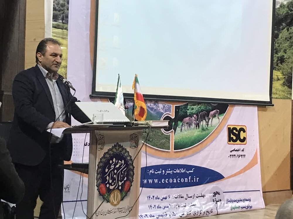 لزوم به‌روز شدن قوانین حوزه قاچاق چوب