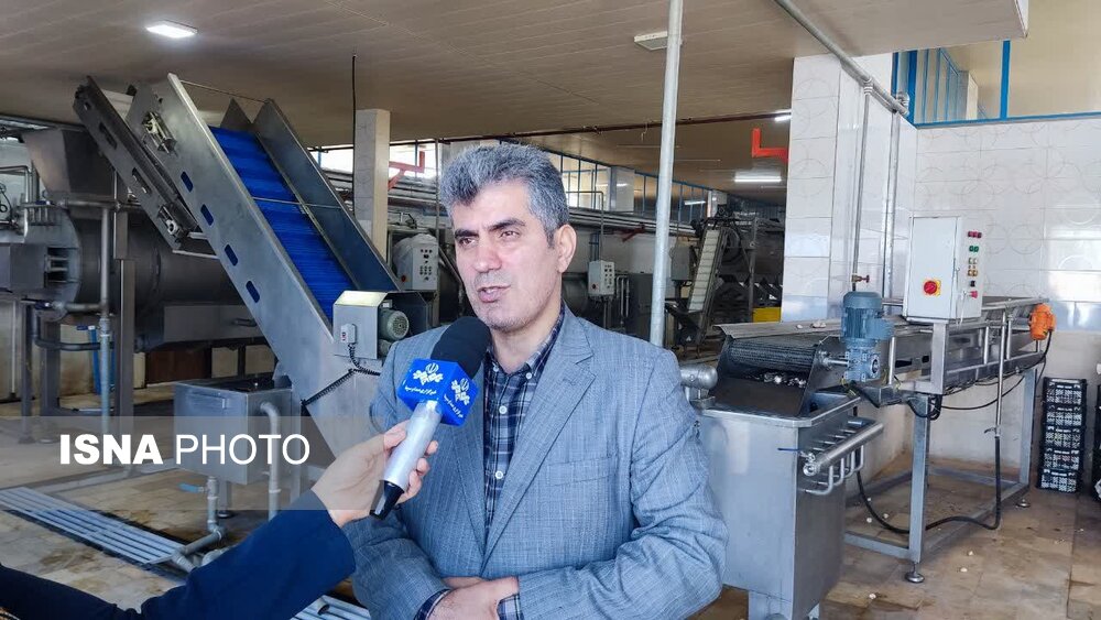 بیش از 1500 تن بذر گواهی شده برنج در گیلان تولید شد
